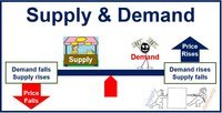 supply and demand - Grade 8 - Quizizz