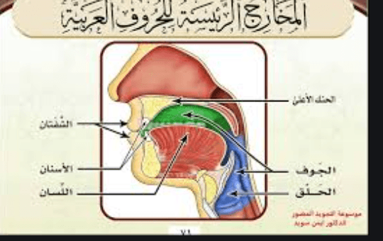 خالية من الحركات النون الساكنة القرآن نجاة: