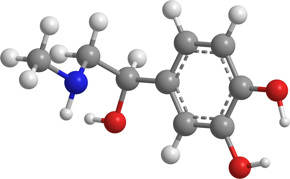 química Orgánica - Grado 12 - Quizizz