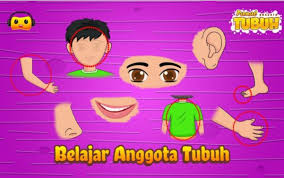 sistem kekebalan tubuh Kartu Flash - Quizizz