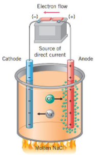 electrolysis and faradays law - Class 1 - Quizizz