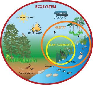 Ecosystems, Population, Communities | Science - Quizizz