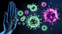 el sistema inmune Tarjetas didácticas - Quizizz