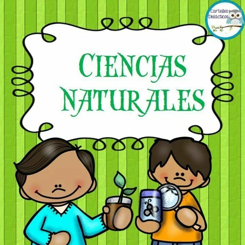 Ciencia medioambiental Tarjetas didácticas - Quizizz