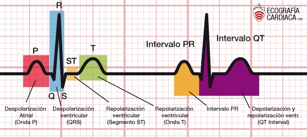 ECG 2 | Specialty - Quizizz