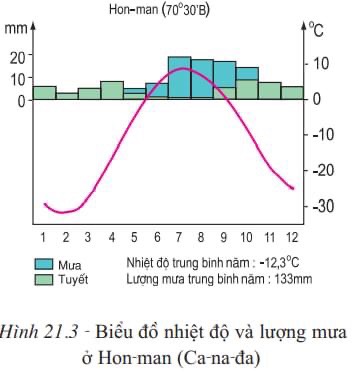 Biểu đồ thanh tỷ lệ - Lớp 7 - Quizizz