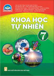 va chạm đàn hồi và bảo toàn động lượng - Lớp 2 - Quizizz