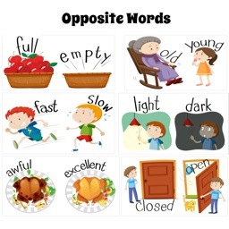 Identifying Opposites Flashcards - Quizizz