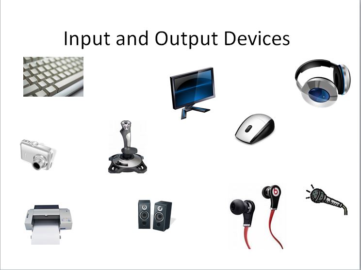 Input and Output Devices | Computers - Quizizz