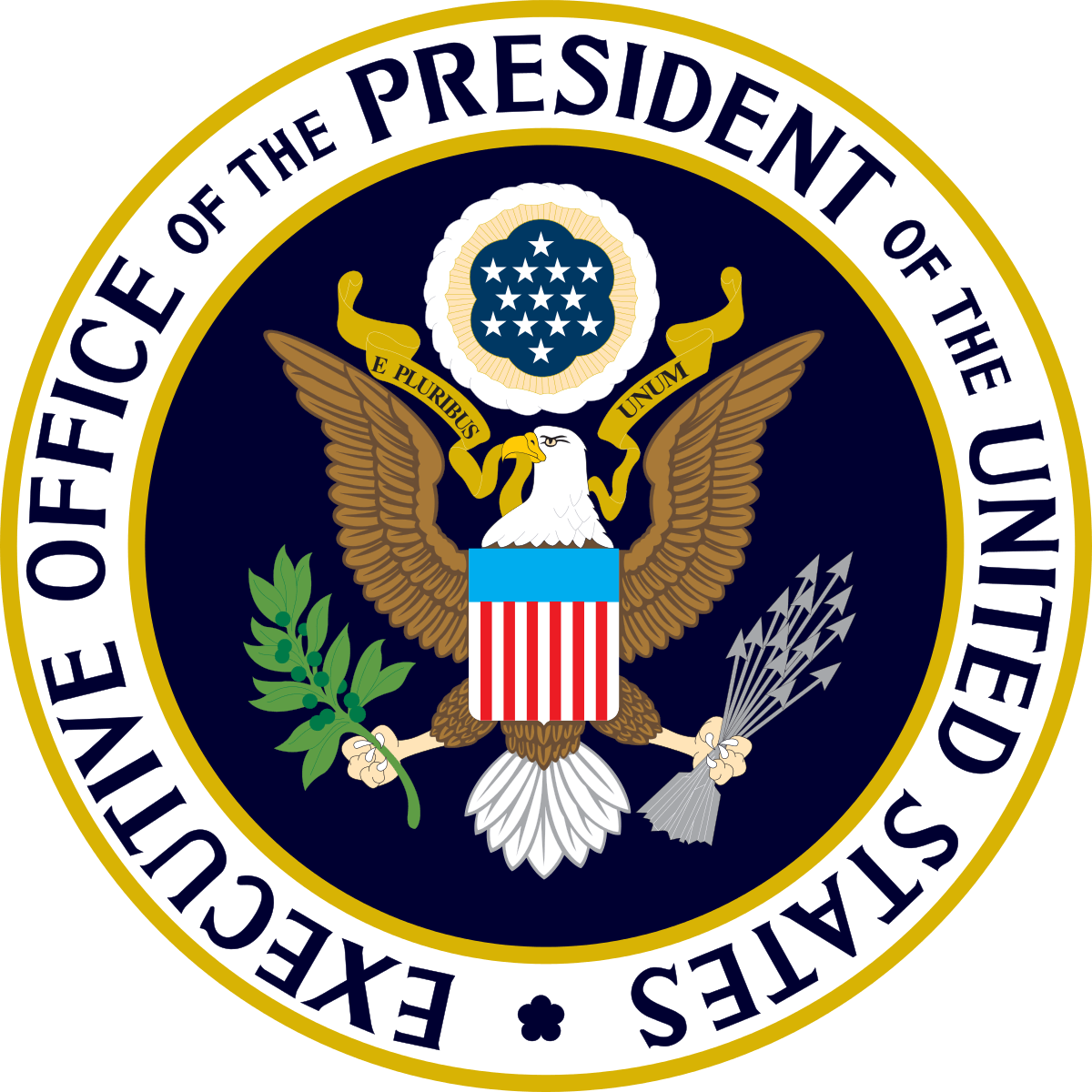 what-is-the-role-of-the-executive-branch-of-the-government