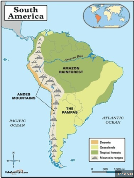 countries in south america - Grade 3 - Quizizz