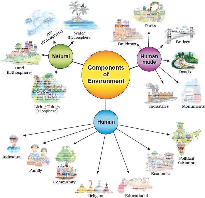 components-of-environment-400-plays-quizizz