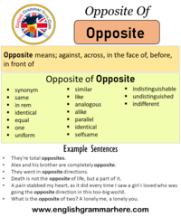 Shades of Meaning - Class 9 - Quizizz