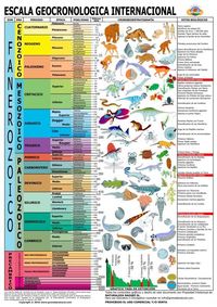 historia de la vida en la tierra - Grado 10 - Quizizz