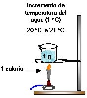 Medição e Capacidade - Série 11 - Questionário