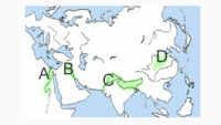 the indus civilization - Grade 8 - Quizizz