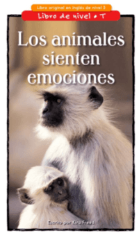 Emociones - Grado 4 - Quizizz