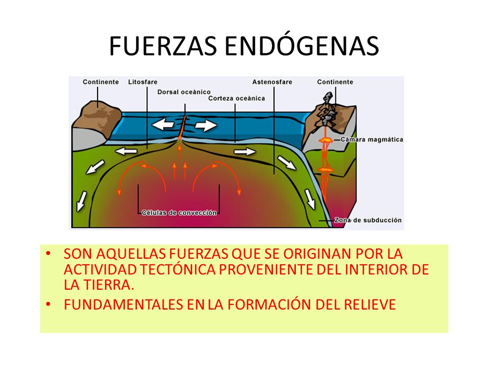 Fuerzas y movimiento - Grado 11 - Quizizz