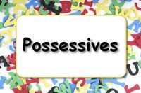 Possessive Pronouns - Grade 11 - Quizizz