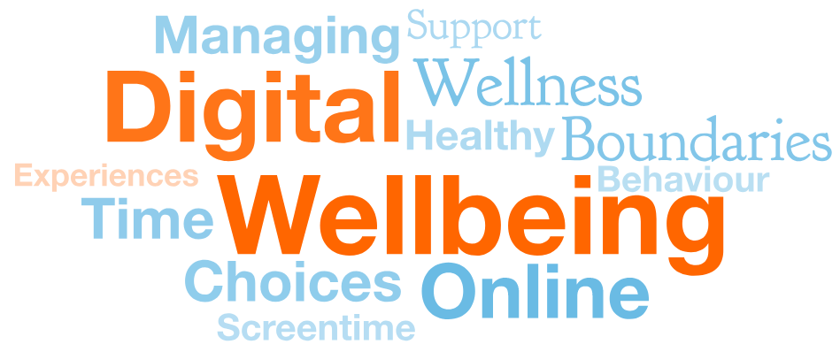 digital-wellbeing-196-plays-quizizz