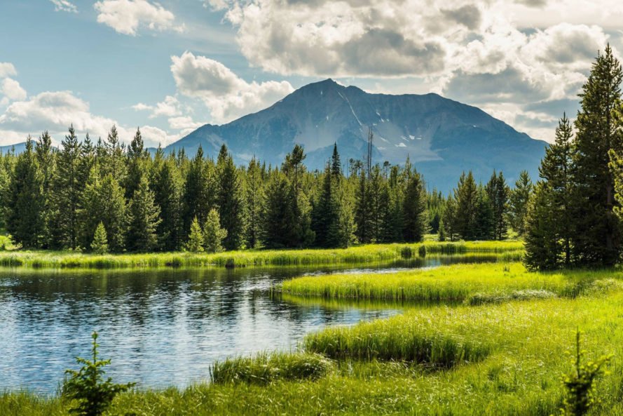 Natural habitats | English - Quizizz