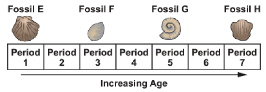 Module D Unit 1 Lesson 1: The Fossil Record questions & answers for quizzes  and tests - Quizizz