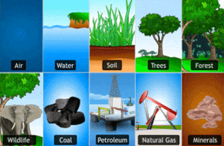 Natural Resources