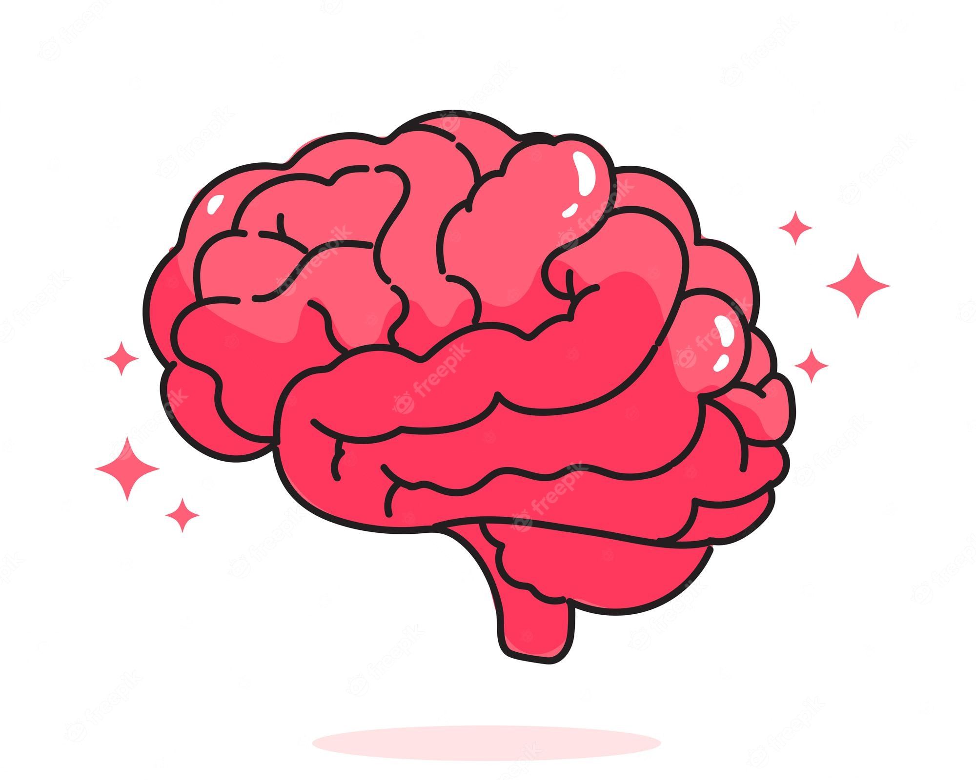 the-brain-questions-answers-for-quizzes-and-tests-quizizz