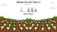 Cina - Kelas 3 - Kuis