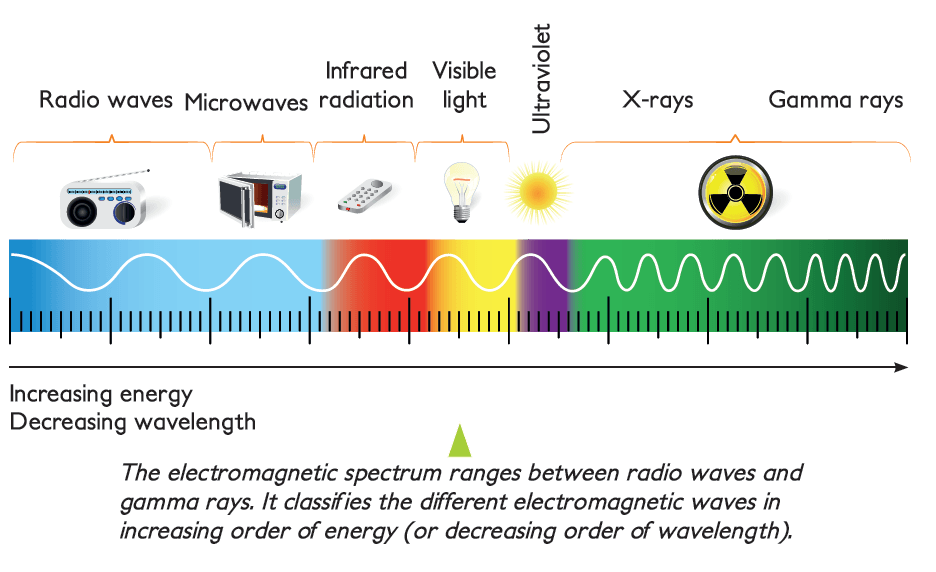 Science Grade 6 - Chapter 4.2 - Light | Science - Quizizz