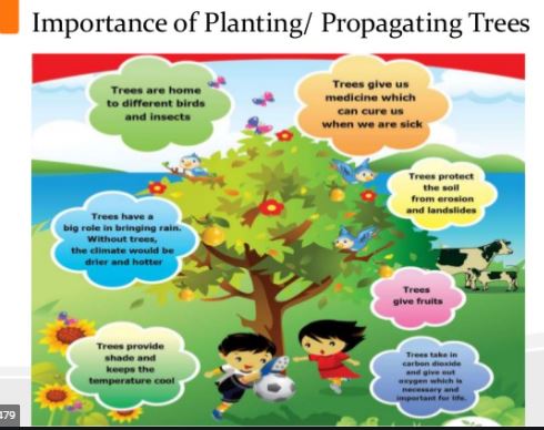 10 benefits of planting trees and fruit bearing trees