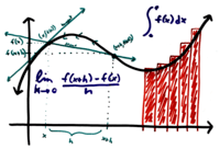 derivadas de funciones exponenciales - Grado 1 - Quizizz