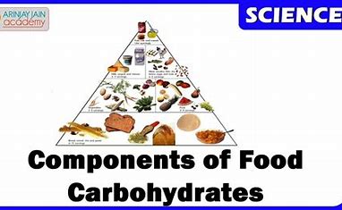 Components of food