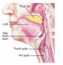 Viết - Lớp 1 - Quizizz