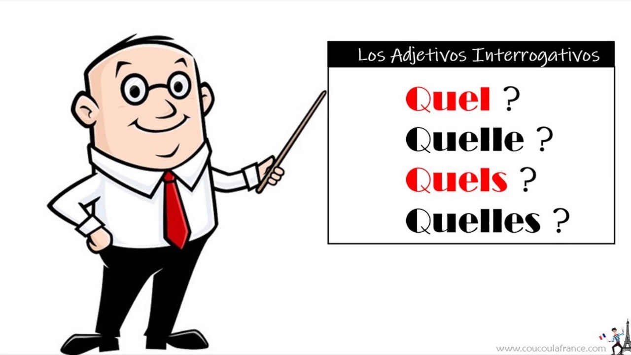 Adjectifs Interrogatifs: Quel, Quelle, Quels, Quelles | Quizizz