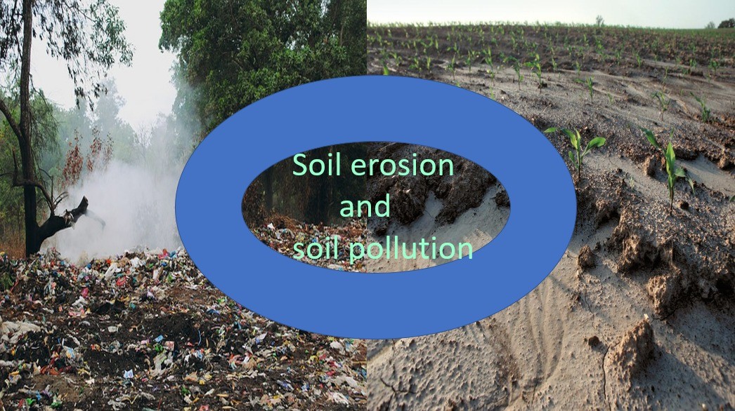 Soil Erosion and Soil Pollution | Quizizz