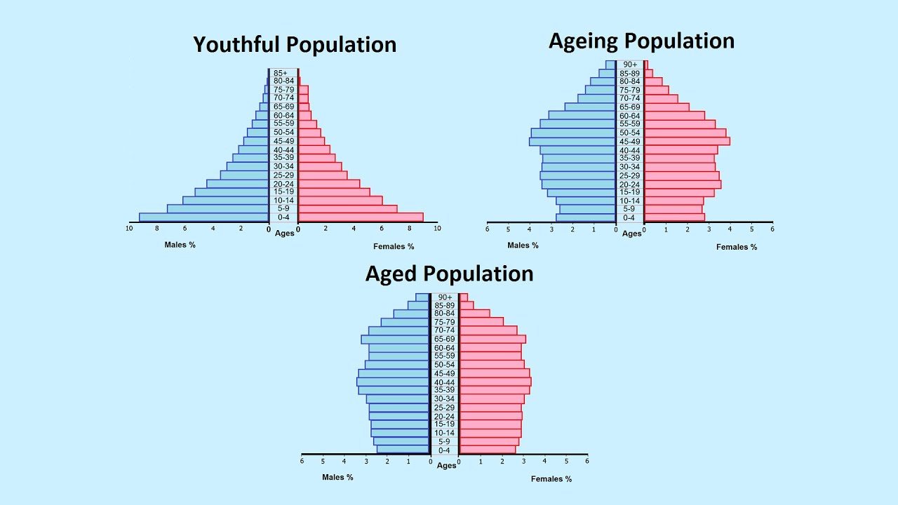 Population Pyramids Test | Other Quiz - Quizizz