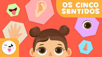 Os 5 sentidos Flashcards - Questionário