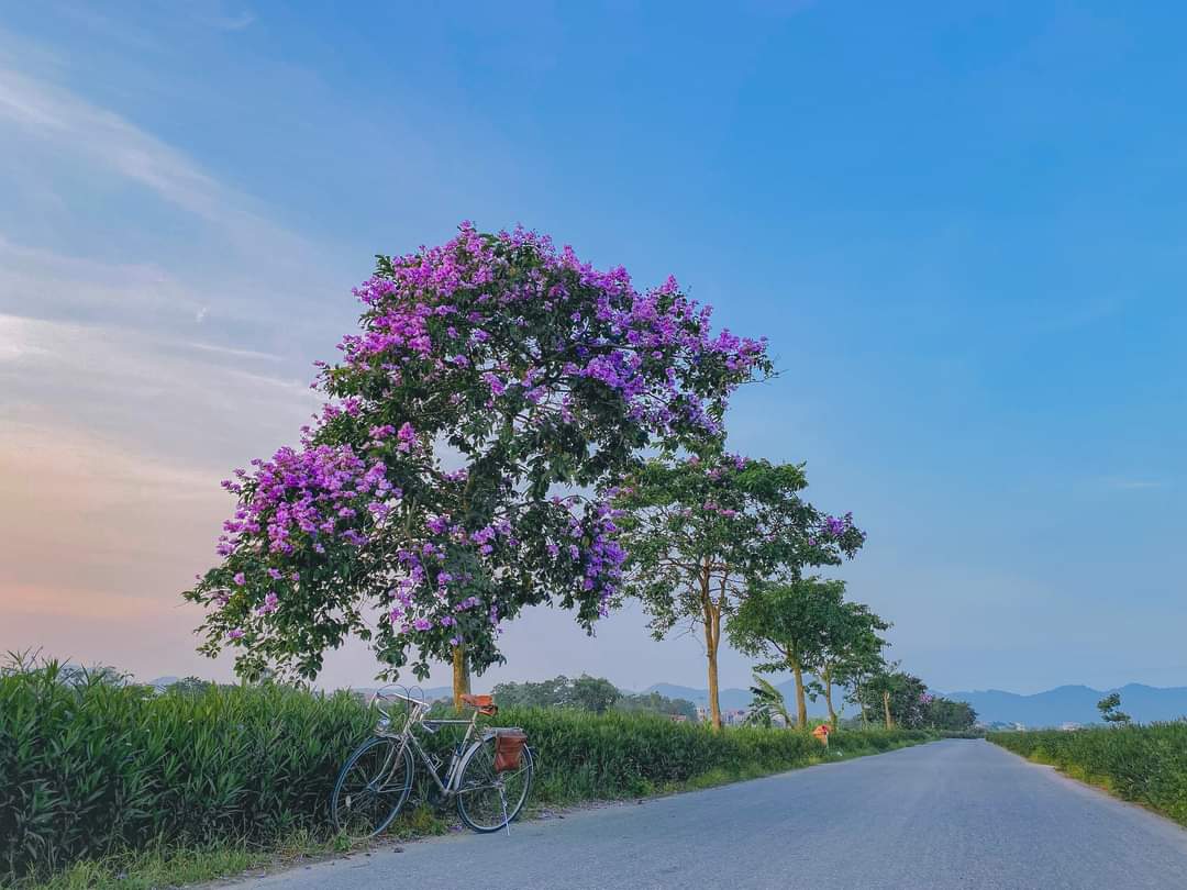 đạo hàm bậc hai của hàm lượng giác - Lớp 5 - Quizizz