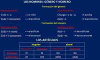 Artículos - Grado 7 - Quizizz