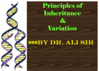 genetic variation - Class 12 - Quizizz