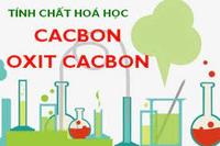 Các cơn co thắt - Lớp 9 - Quizizz