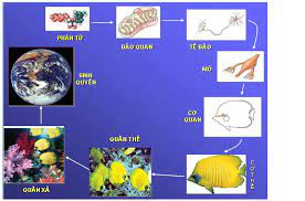 sự thích nghi của động vật - Lớp 10 - Quizizz