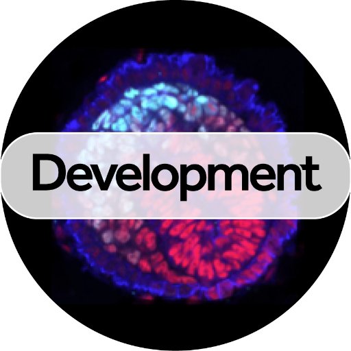 developmental biology - Class 6 - Quizizz