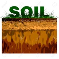 soils - Class 1 - Quizizz