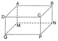 Chữ D - Lớp 5 - Quizizz