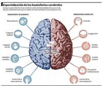 Psychologia - Klasa 8 - Quiz