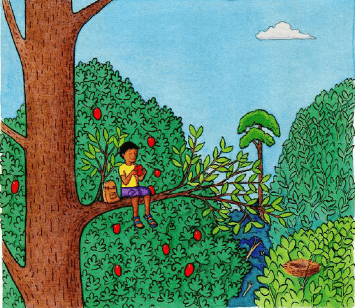 4th Grade, The Tomango Tree | Quizizz
