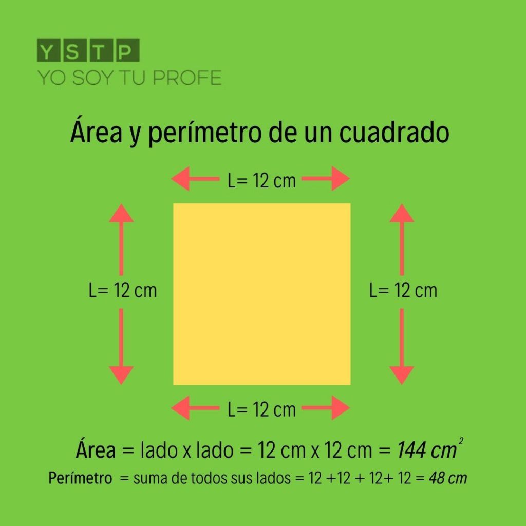 Cuadrícula - Grado 5 - Quizizz