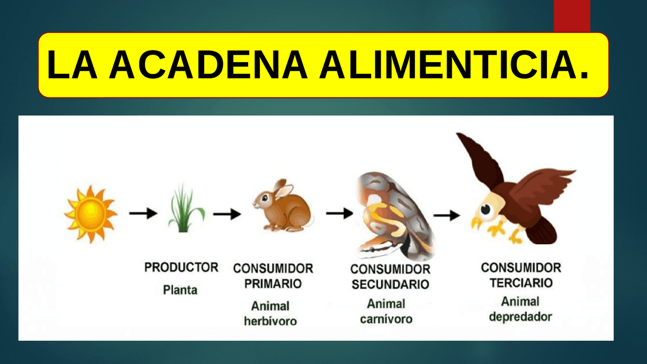 biotecnología - Grado 6 - Quizizz